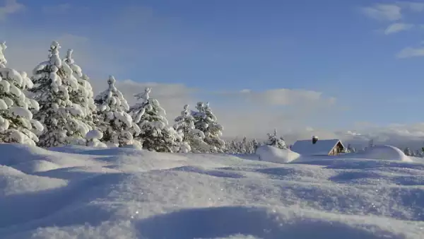 Zimowisko i obóz narciarski dla początkujacych i zaawansowanych