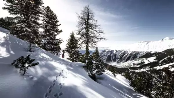 Zimowisko i obóz narciarski dla początkujacych i zaawansowanych