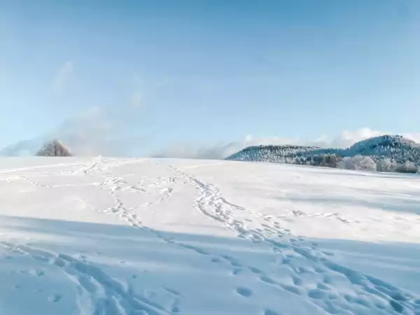 Kudowa Zdrój Zimowisko z Elementami Survivalu - Strefa Przygody w sercu Gór Stołowych