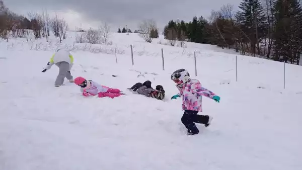 Zimowisko i Obóz - Szkółka narciarsko-snowboardowa - Karnety w cenie